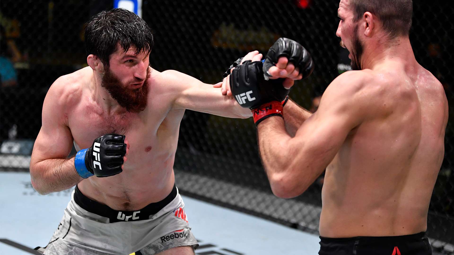 在朋友圈转 在朋友圈转