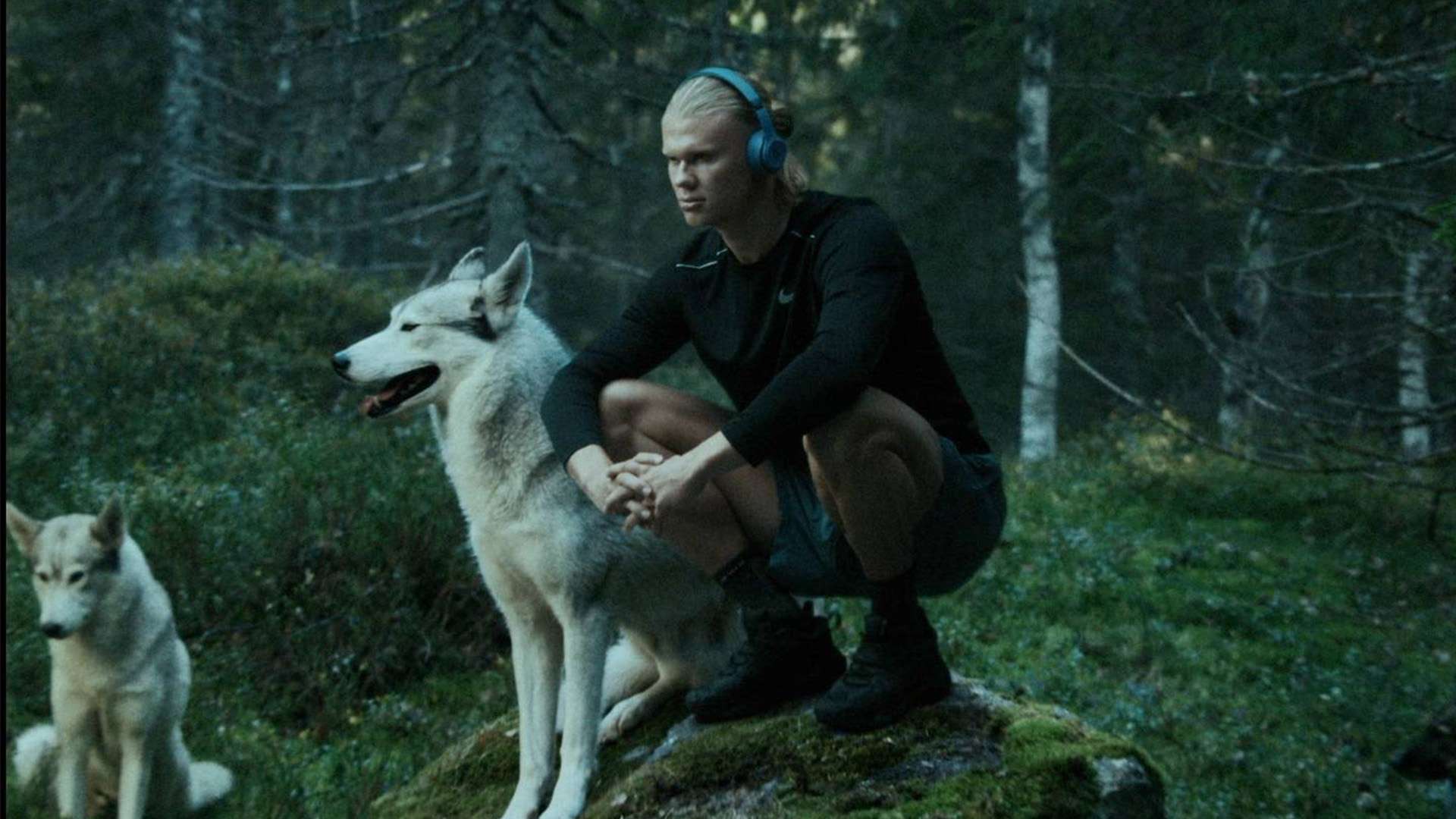 面临的挑战 面临的挑战